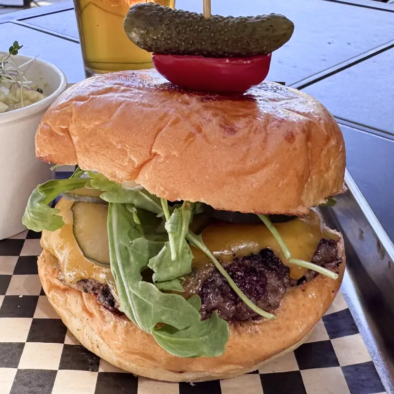 L.F.G. Burger